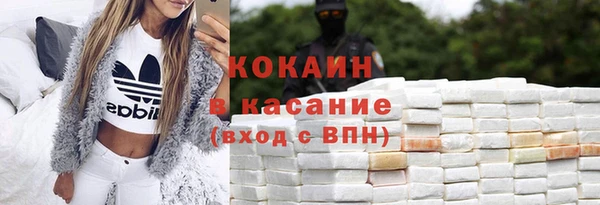 дмт Богданович
