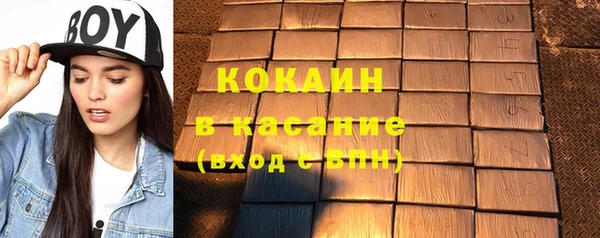 дмт Богданович