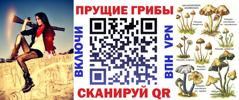 где найти наркотики Дивногорск Псилоцибиновые грибы MAGIC MUSHROOMS